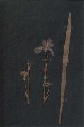 Paul Klee Herbarium oil painting reproduction